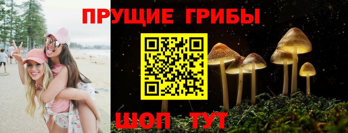 Подольск  Псилоцибиновые грибы GOLDEN TEACHER  Вход с VPN 